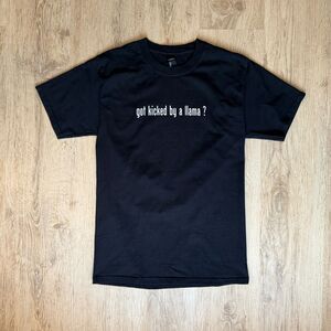 Hanes Beefy "got kicked by a llama?" Graphic Tee – M